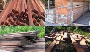 Wairoro Pusat Jual Beli Kayu Olahan Tak Berizin yang Masih Marak di Kabupaten Halmahera Tengah