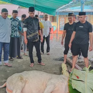 Polres Haltim dan Jajaran Bagikan Daging Kurban kepada Masyarakat Halmahera Timur