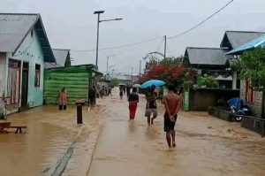 Hujan Deras, Desa Jojame Dilanda Banjir, Warga Harapkan Perhatian Pemerintah Halmahera Selatan