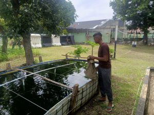 Yonif 201/JY Tanam Jagung hingga Budidaya Ikan, Wujudkan Ketahanan Pangan di Jakarta Timur