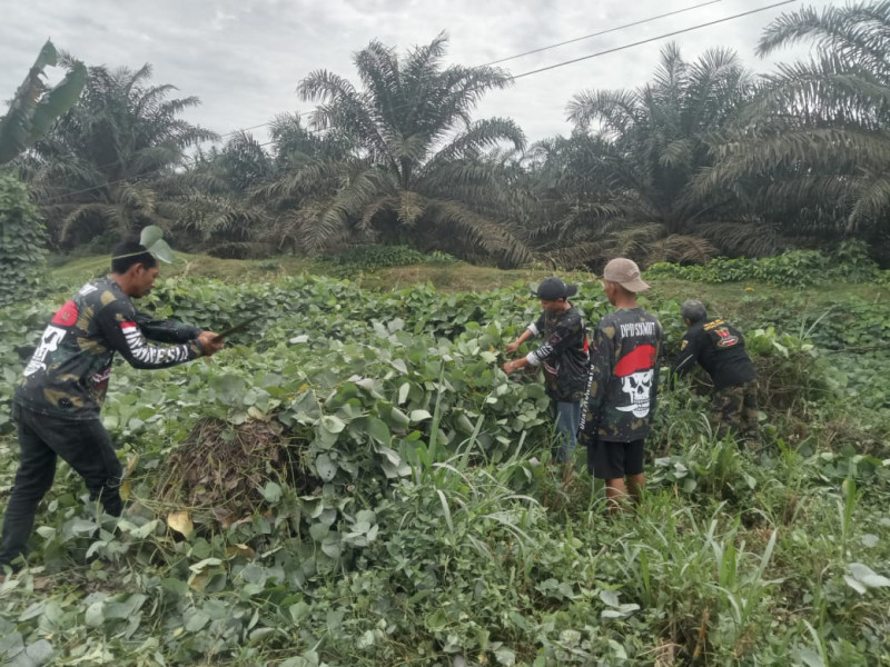Kepedulian DPC Satgasus Grib Jaya Kab.Langkat Lakukan Gotong-Royong
